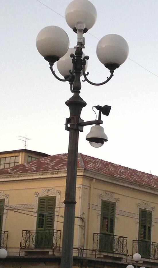  - Palmi DG (6)