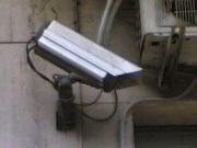 Big Brother viewer - Telesforo 2