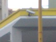 Big Brother viewer - Benzinaio 3
