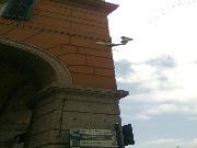 Big Brother viewer - san lorenzo