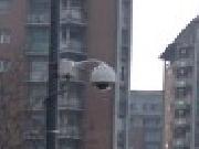Big Brother viewer - Mi Omodeo