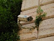 Big Brother viewer - No NAME