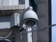 Big Brother viewer - carabinieri