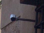 Big Brother viewer - cavalieri