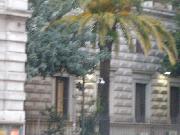 Big Brother viewer - angolo grazia e giustizia