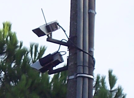 Big Brother viewer - Bar ***