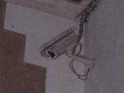 Big Brother viewer - Rialto mercato