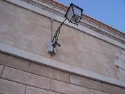 Big Brother viewer - Pinault
