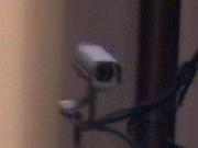 Big Brother viewer - Fenice