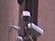 Big Brother viewer - Fenice