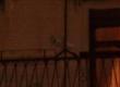 Big Brother viewer - Spot Camera
