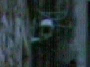 Big Brother viewer - Calle