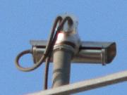 Big Brother viewer - Torre