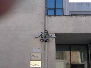 Big Brother viewer - Palmi GS 4 (1)