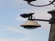 Big Brother viewer - Palmi DG (3)