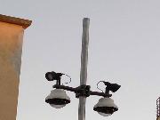 Big Brother viewer - Palmi DG (2)